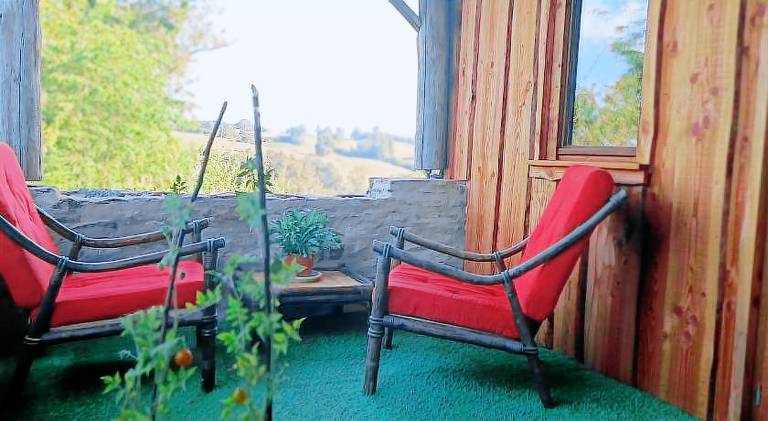 La chouette — photo 2