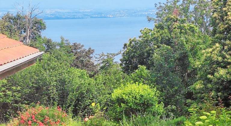 Holiday apartment with terrace, private pool & barbecue in Thonon-les-Bains
