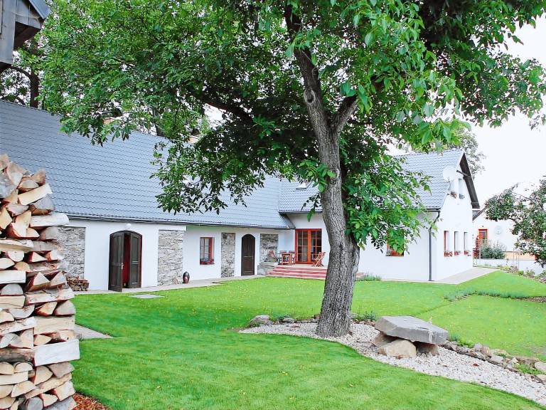 Ferienhaus Horní Holetín