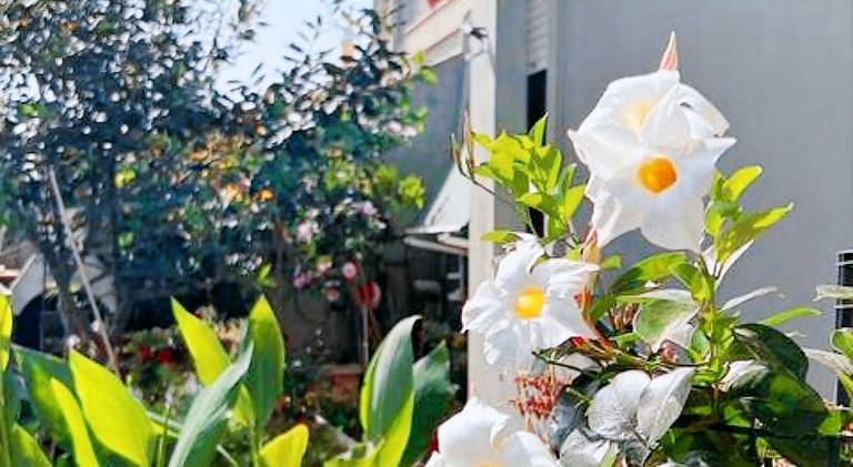 Vacation home with 3 rooms for 6 persons in Oristano