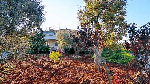 Villa  Conversano