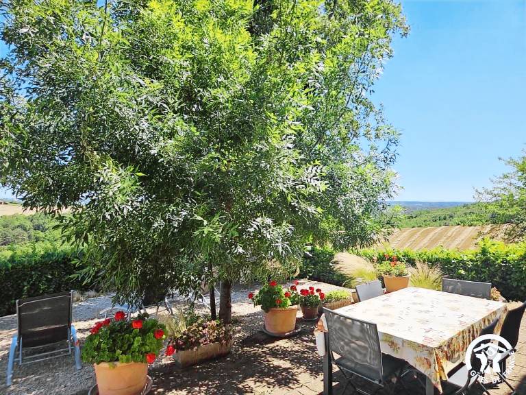 Gite with terrace & garden | Pets are welcome — photo 4