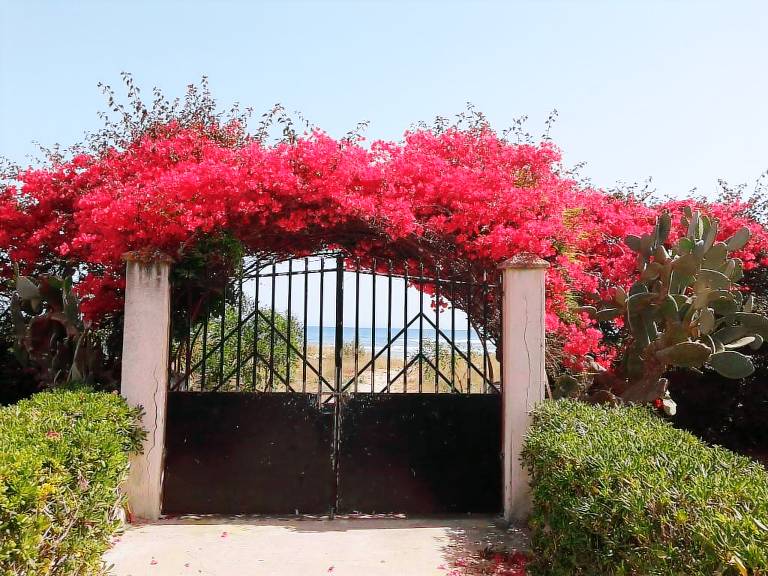 Children-friendly villa with garden | Close to the beach | Pets are welcome — photo 5