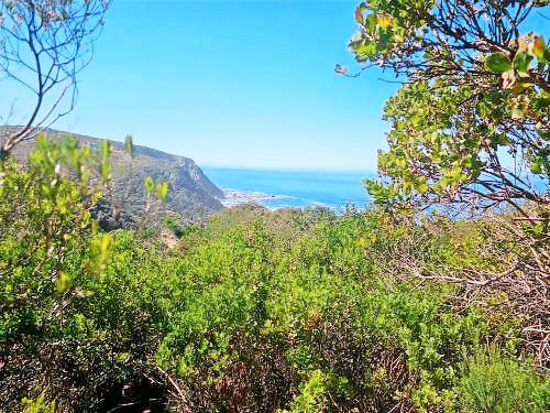 Dom Knysna