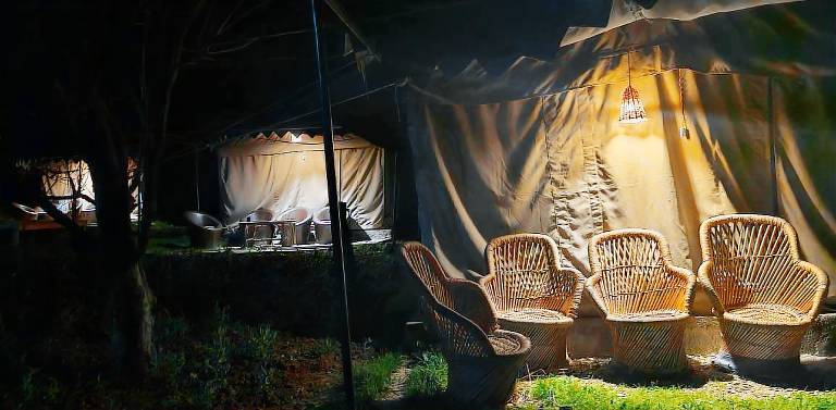 In The Jungle Camps & Hostel in Kullu