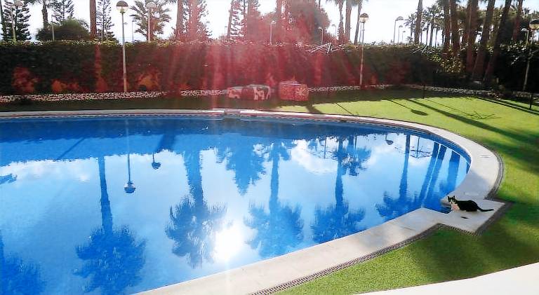 Rental apartment with pool — photo 2