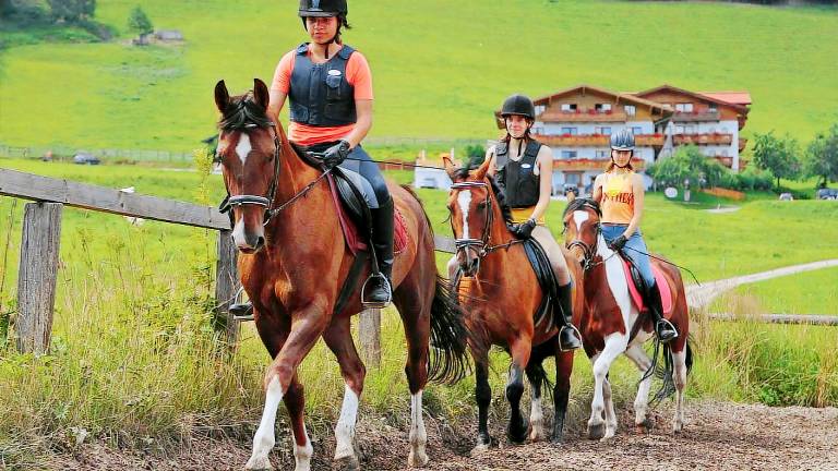     
Ferienwohnung ∙ 4 Gäste ∙ 2 Schlafzimmer
