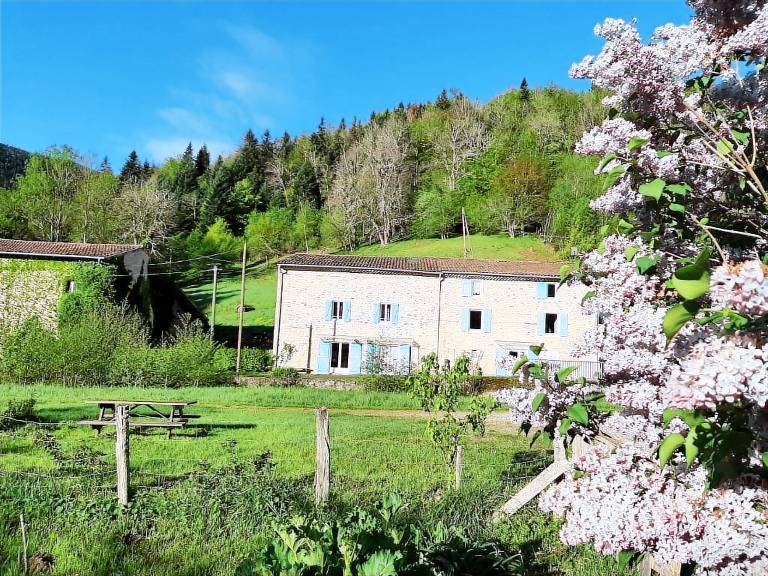 Gîte au mohair des Alpy — photo 2