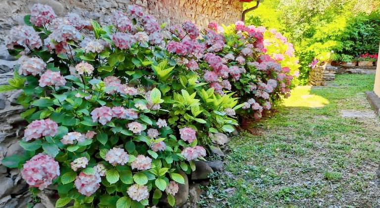 Beautiful house with jacuzzi | Pet-friendly in Vicchio