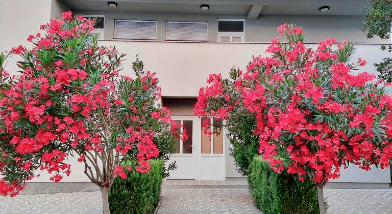 Apartment with BBQ & terrace in Starigrad