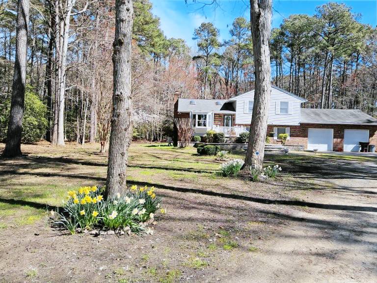 House Stevensville