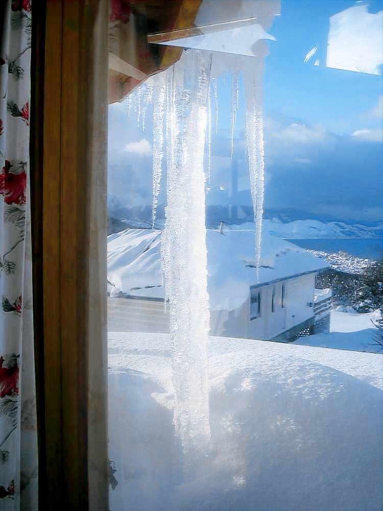 Cabaña Ushuaia