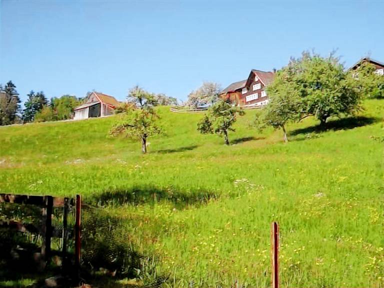 Chalet Distretto di San Gallo