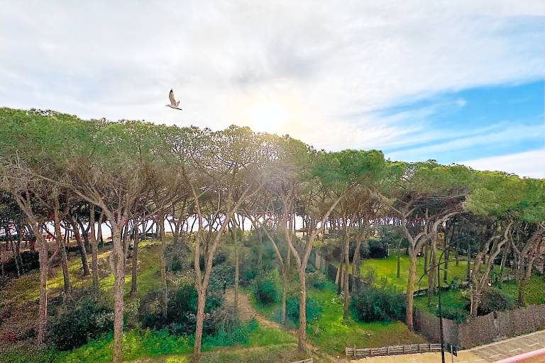 Apartment Follonica