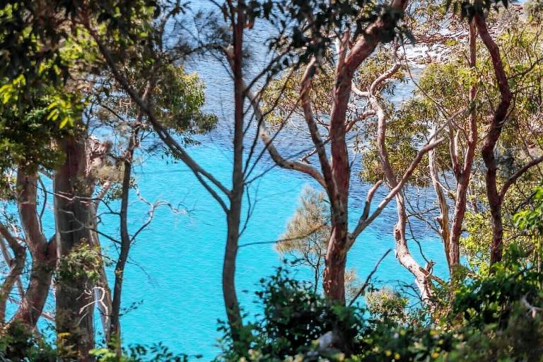House  Ulladulla
