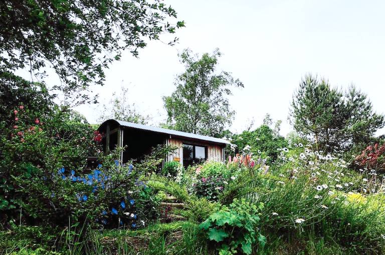 Family-Friendly Camping Pod in the Countryside near Knighton, Wales — photo 5