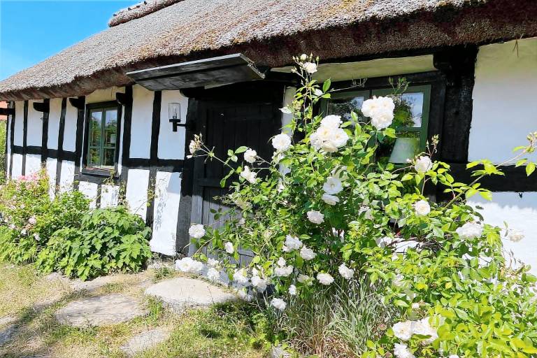 House with garden — photo 4