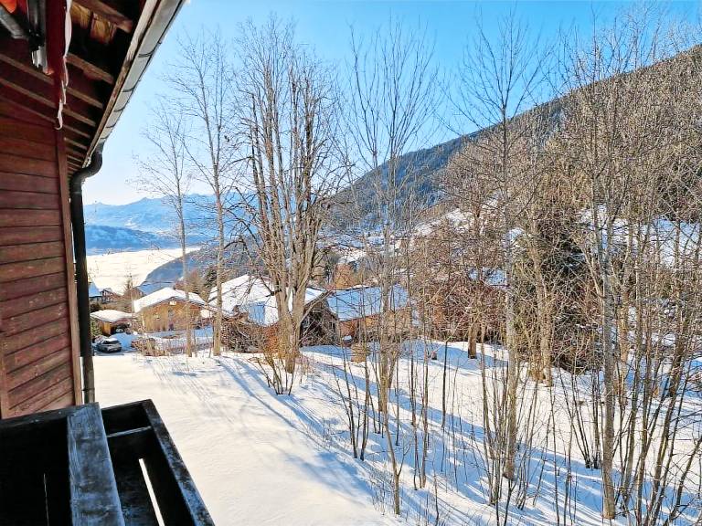 Appartement Interlaken