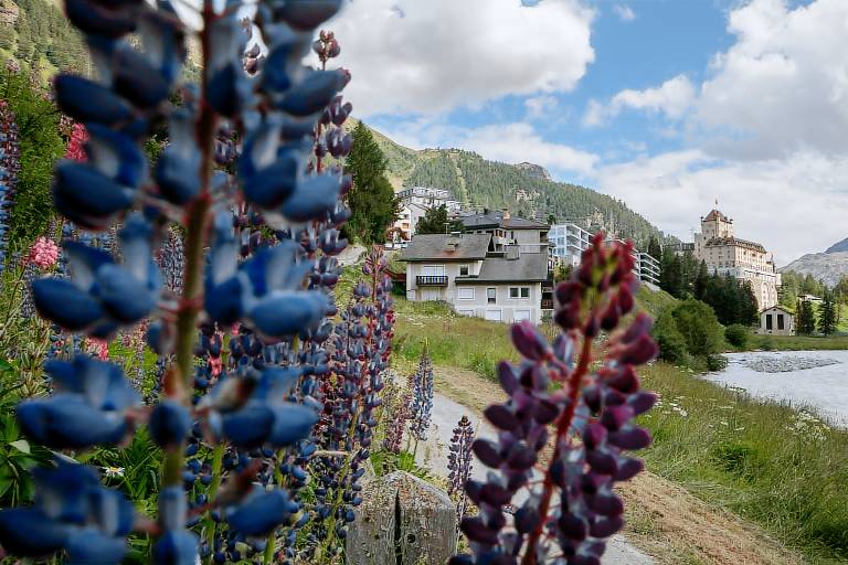 Ferienwohnung mit Hund in Pontresina, für max. 2 Personen Ferienwohnung mit Hund in Pontresina, für max. 2 Personen