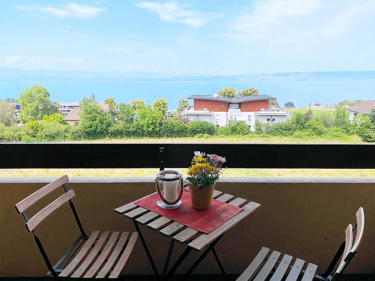 Appartement Neuvecelle