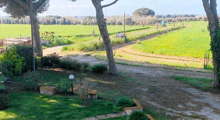 Casa Diana — photo 5