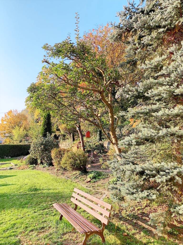 foto1