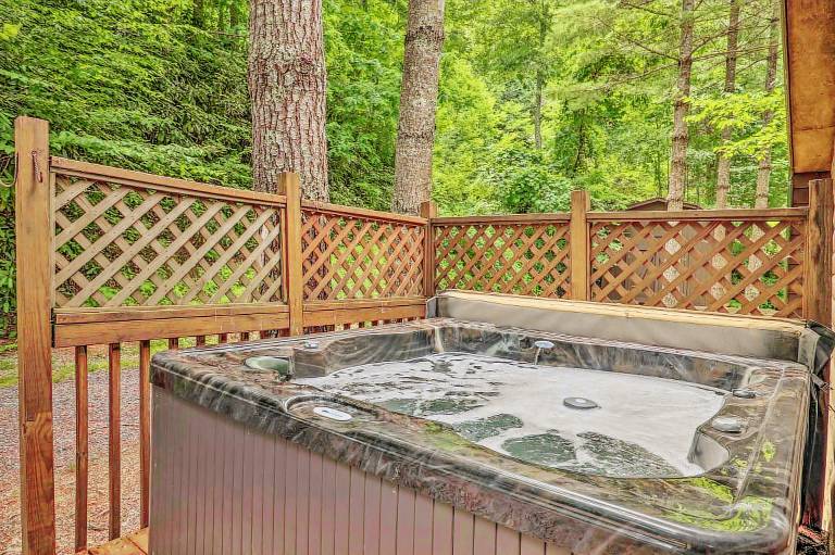 Deck & Private Hot Tub! Maggie Valley Mtn Cabin — photo 2