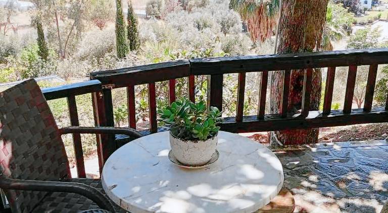 House with private pool, patio & yard — photo 4