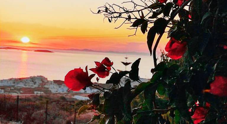 Vacation home with yard & patio | Pets allowed in Naxos