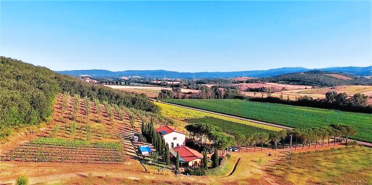 Agriturismo Ribolla