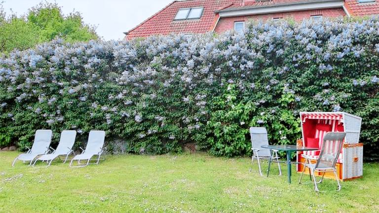 Ferienwohnung Insel Poel