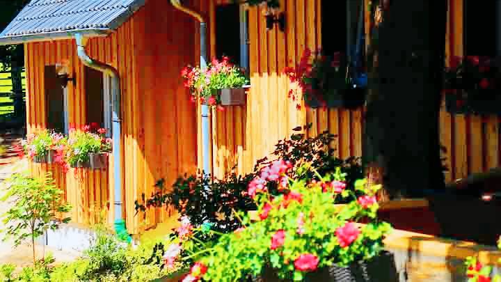 Fully equipped house with grill & patio | Dogs allowed — photo 2