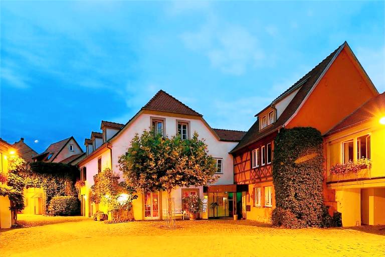 Hotel & Spa A la cour d'Alsace by HappyCulture — photo 5