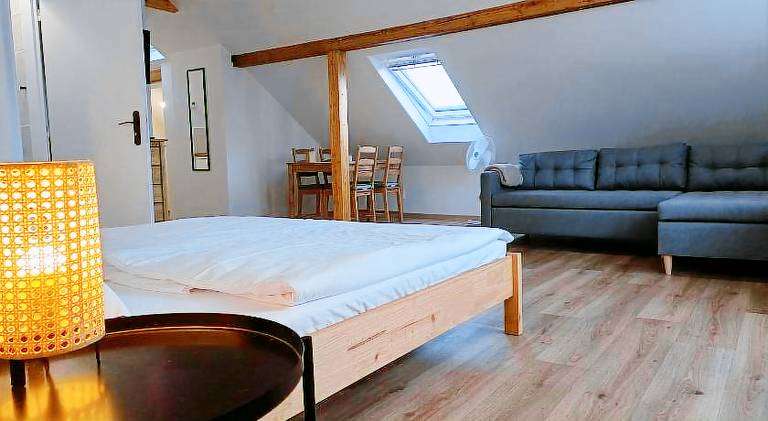 Apartment | Pet-friendly in Karlovy Vary
