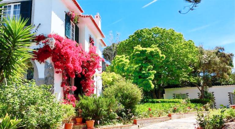 Cascais Seaside Garden Villa — photo 5