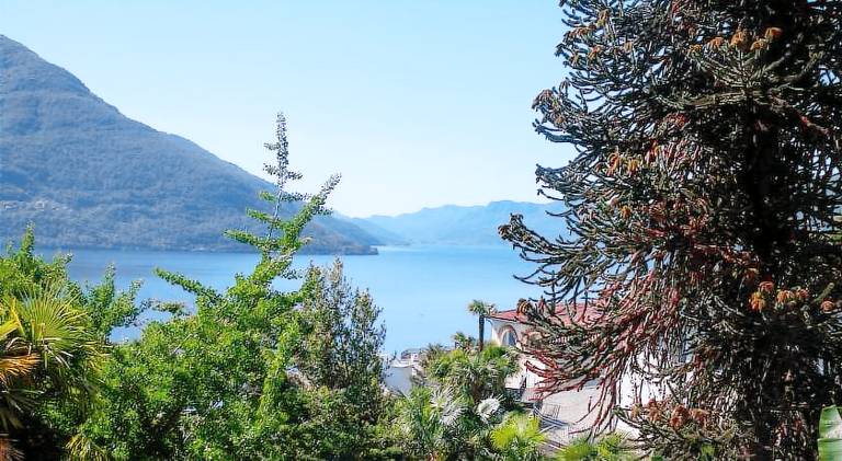 Rental apartment | Pets allowed in Brissago