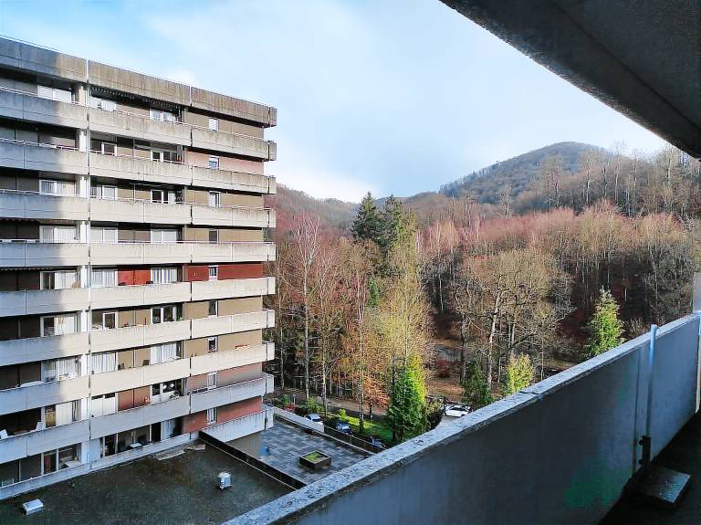 Ferienwohnung Bad Harzburg