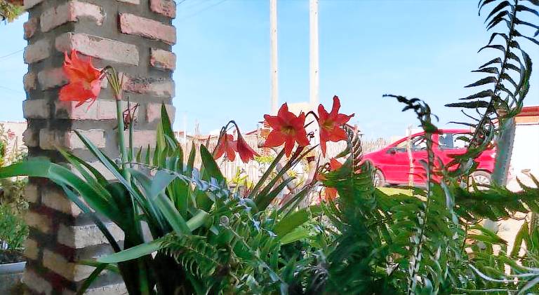 foto4