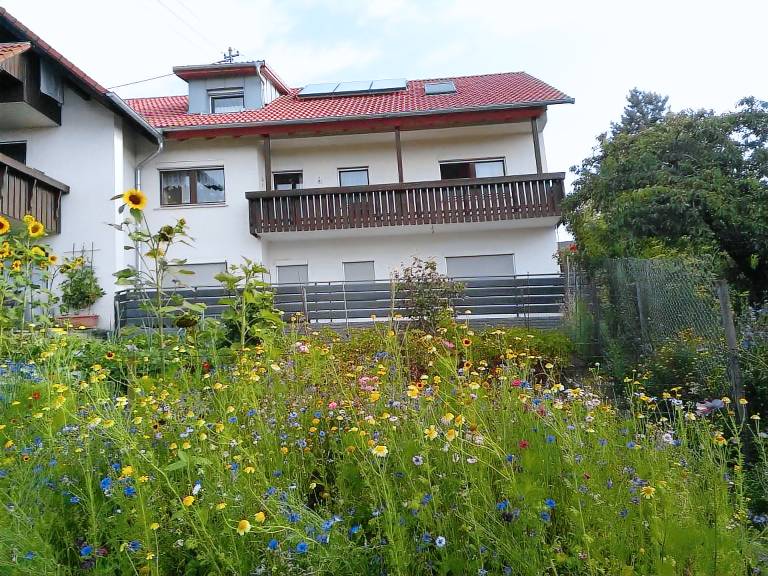 Appartement Meersburg