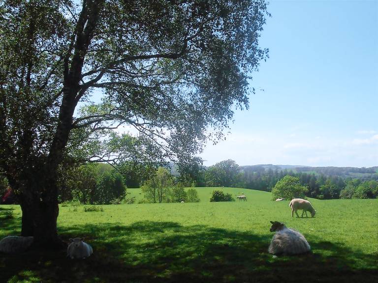 foto5