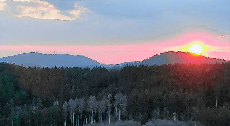 Wonderful apartment with pool | Dogs allowed in Braunlage