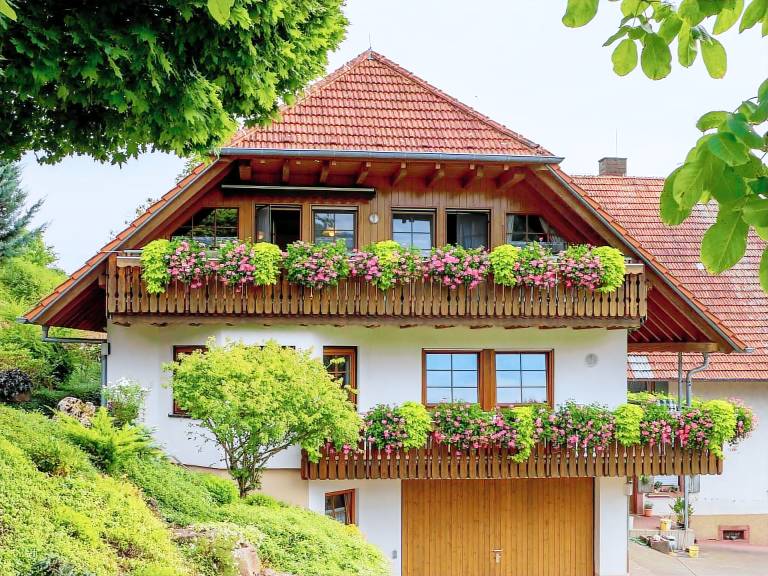 Bauernhof Schuttertal