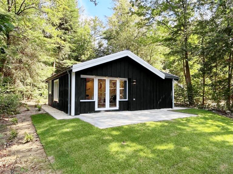 Chalet Ruinen