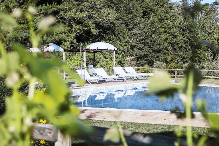 B&B Podere Monti - Junior Suite Baldassarre Peruzzi — photo 4