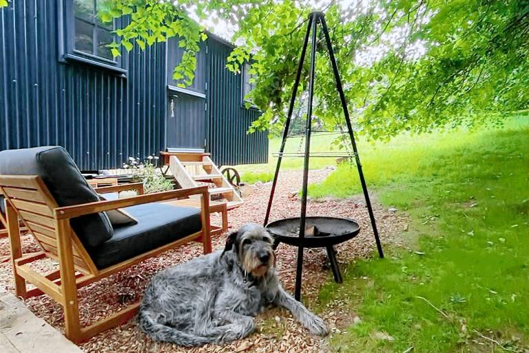 Shepherd's Hut - Sleeps 2 - Pet friendly - Parking — photo 5