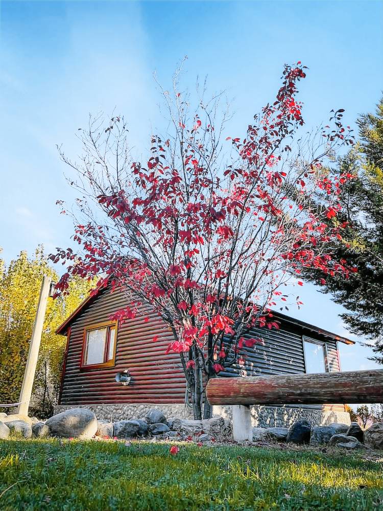 Apart-hotel  El Calafate