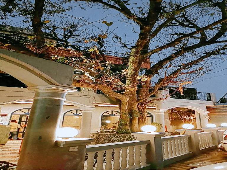 Maya Hotel — photo 3