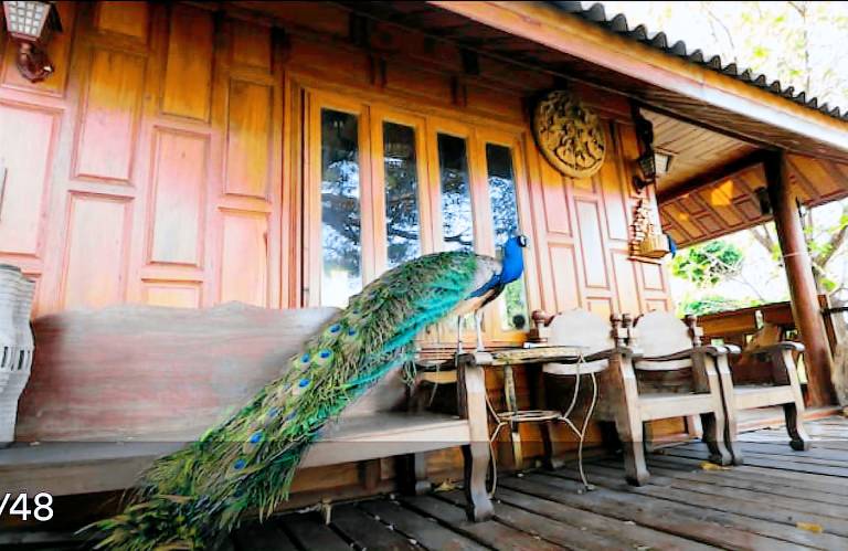 Sunny Stone Villa in Koh Lipe