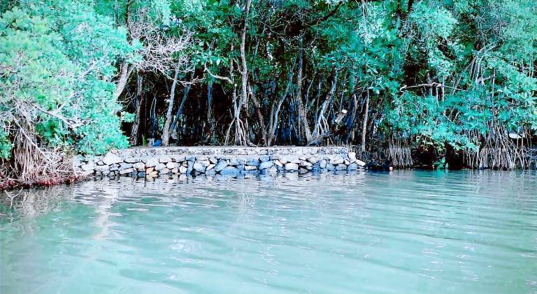 foto44