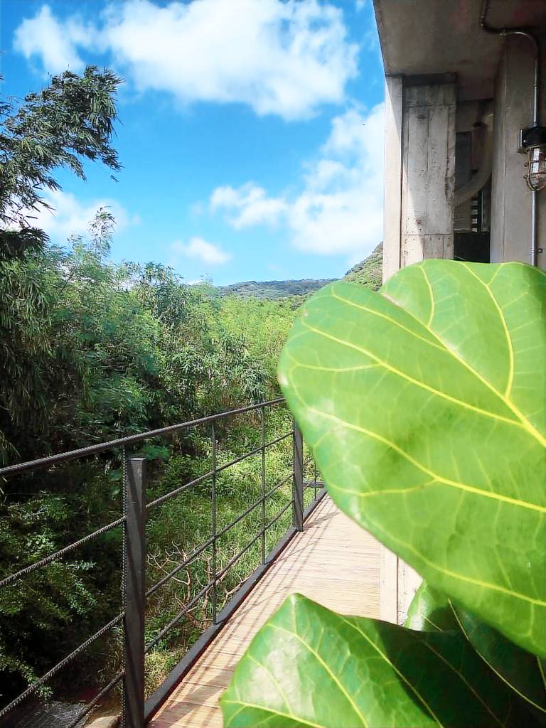 Nanwanps — photo 3